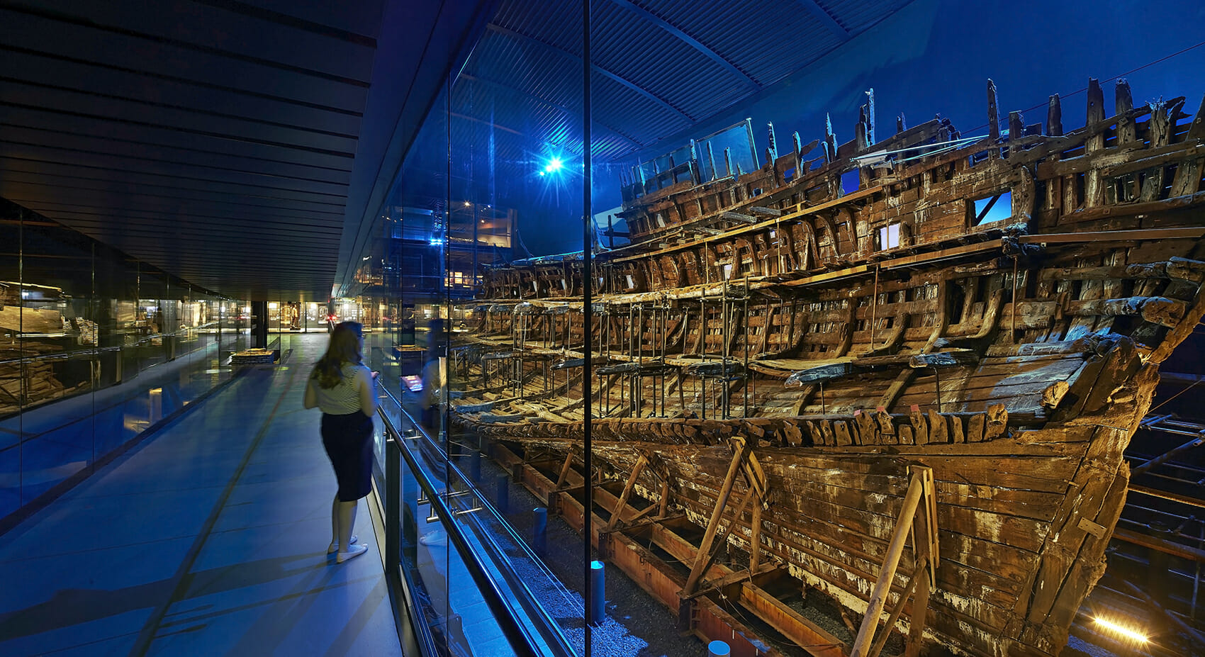 The Mary Rose Project